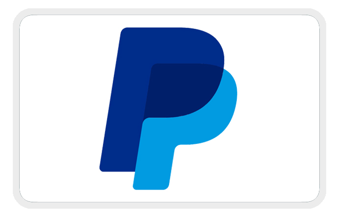 Payment Paypal icon