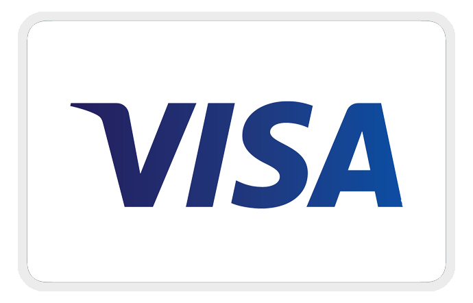 Visa icon